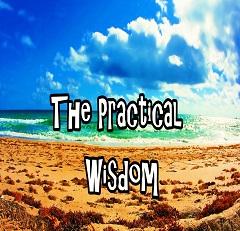 The Practical Wisdom Cover